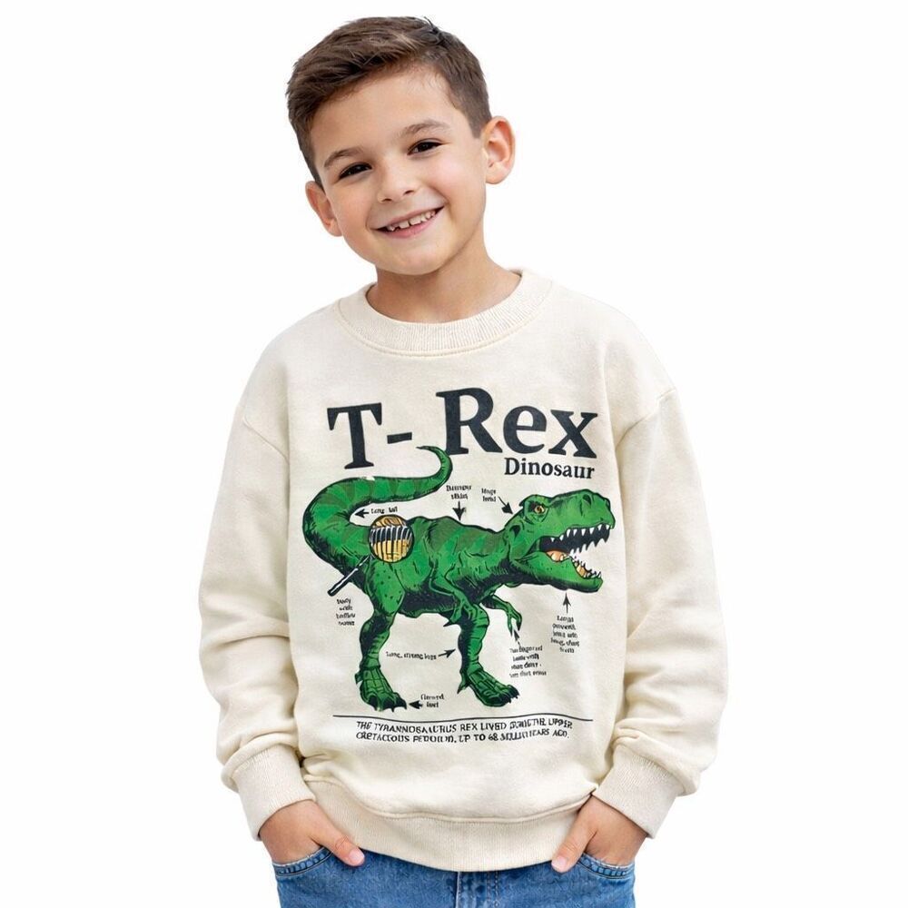 H&M Boys T-Rex Dinosaur Graphic Sweatshirt Size 6X 7 Cream Long Sleeve Pullover